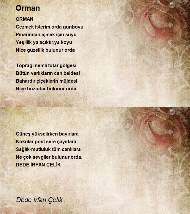 Dede İrfan Çelik