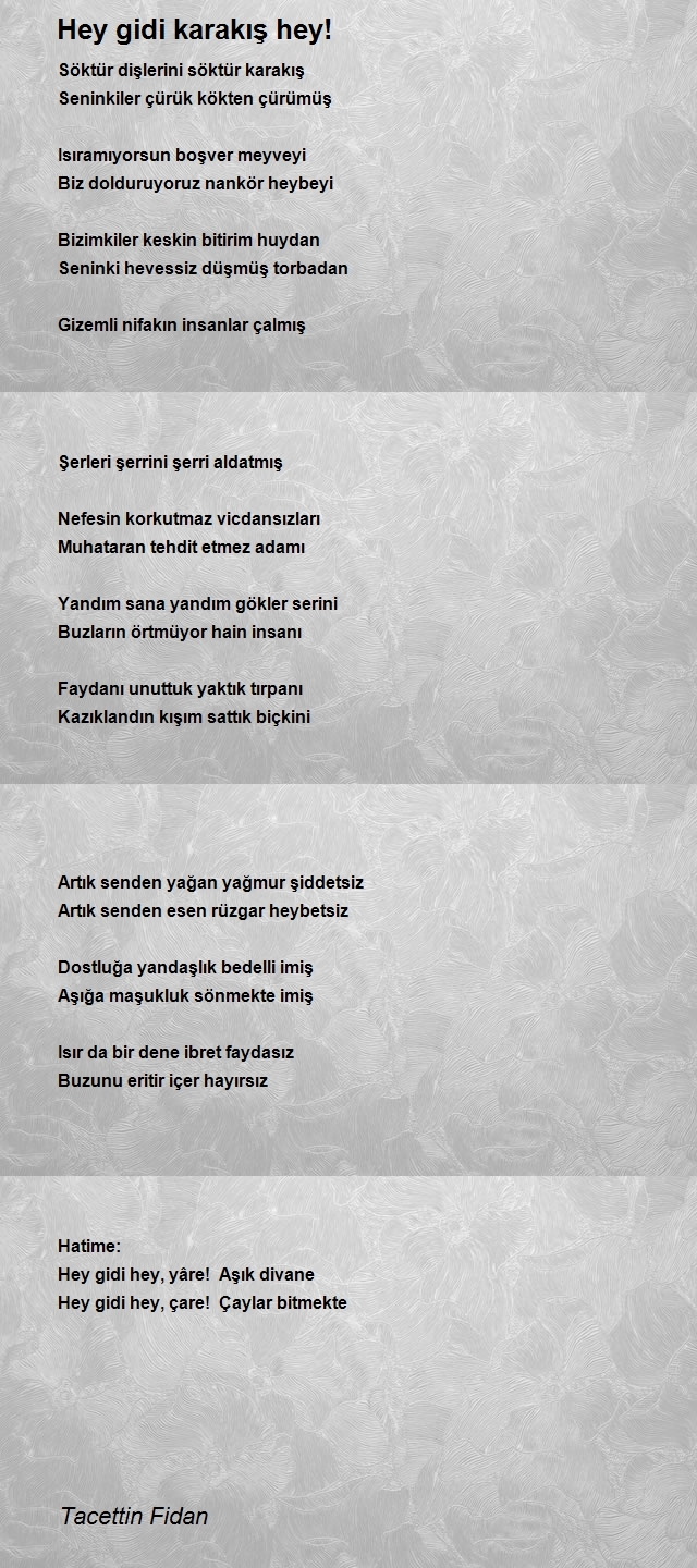 Tacettin Fidan