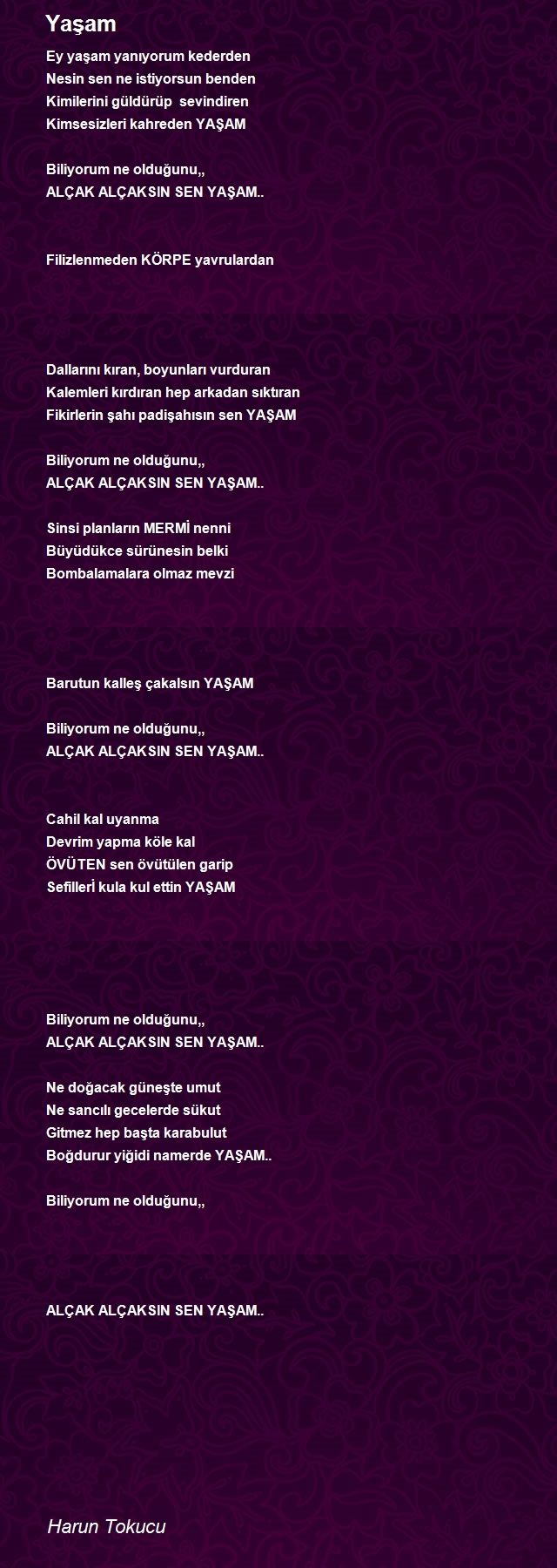 Harun Tokucu