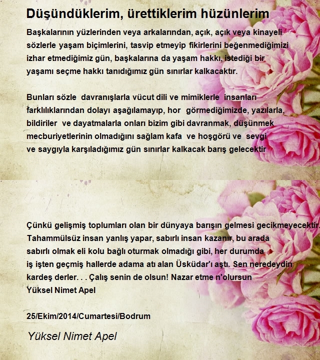 Yüksel Nimet Apel