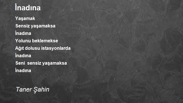 Taner Şahin