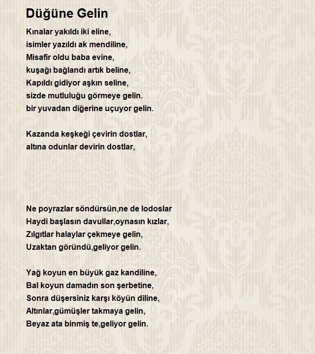 Bilgin Çabuk