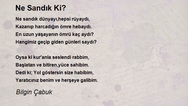 Bilgin Çabuk