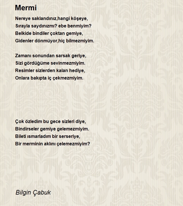 Bilgin Çabuk