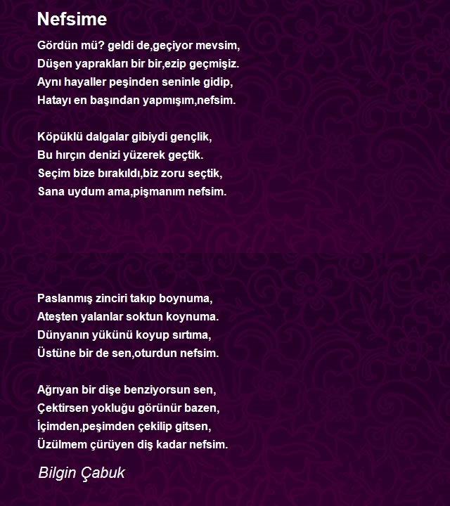 Bilgin Çabuk