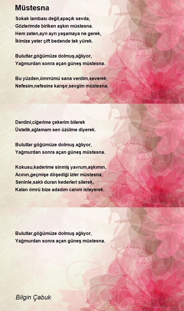 Bilgin Çabuk