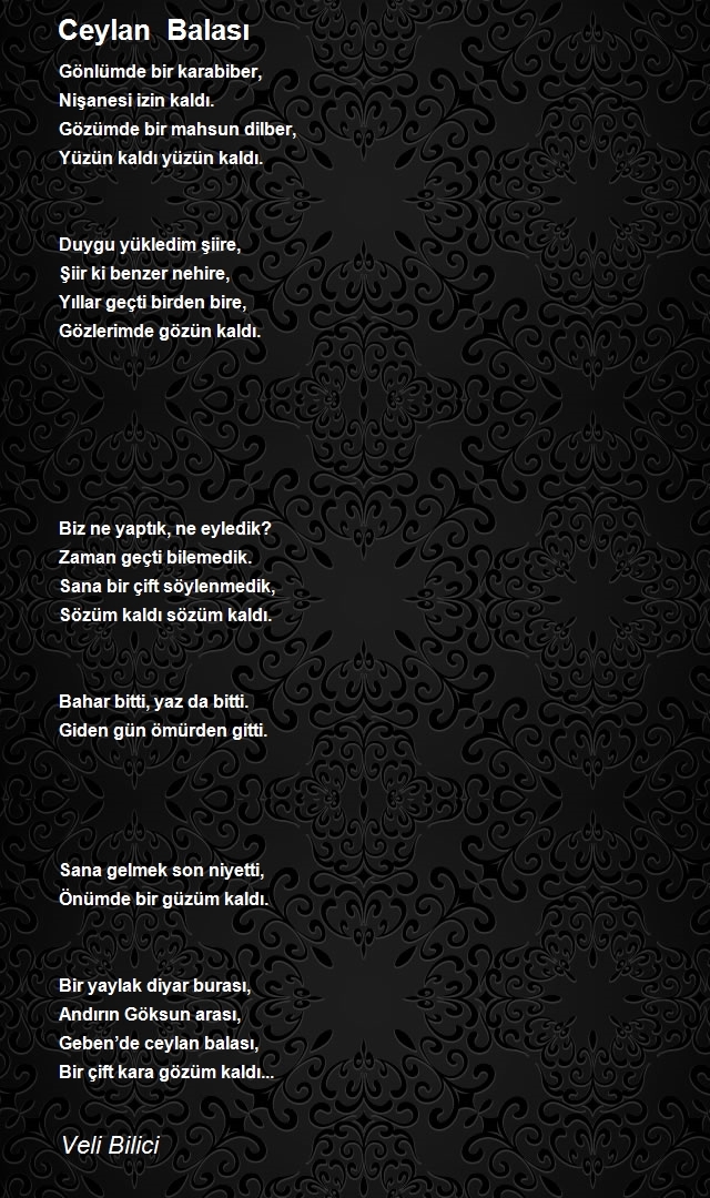 Veli Bilici