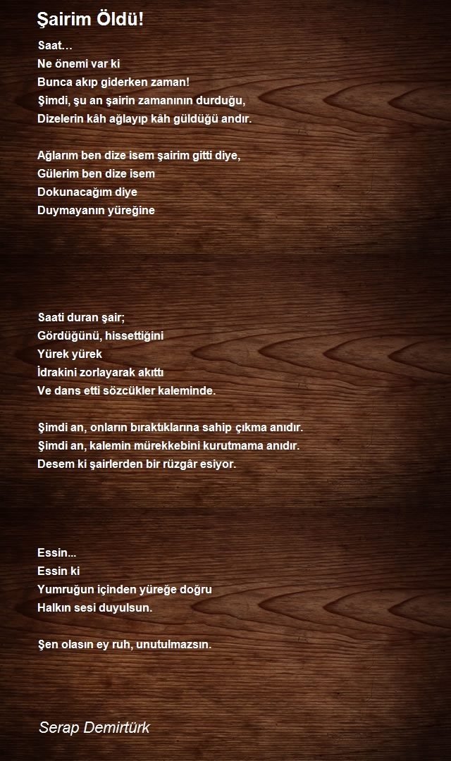 Serap Demirtürk