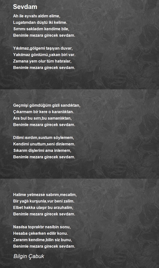 Bilgin Çabuk