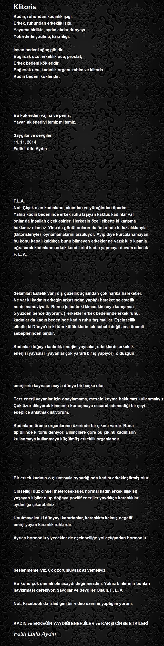 Fatih Lütfü Aydın