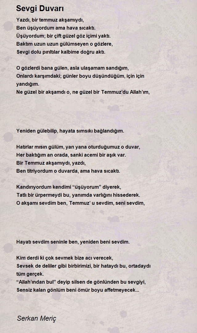 Serkan Meriç