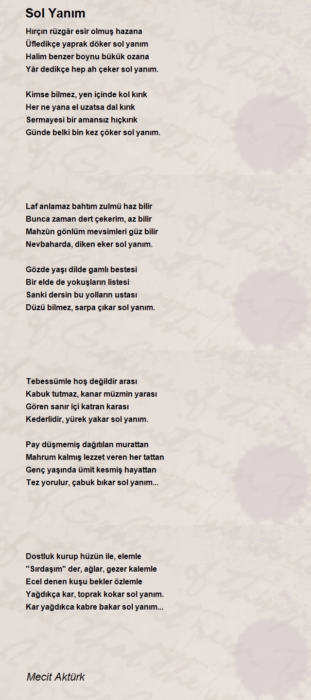 Mecit Aktürk