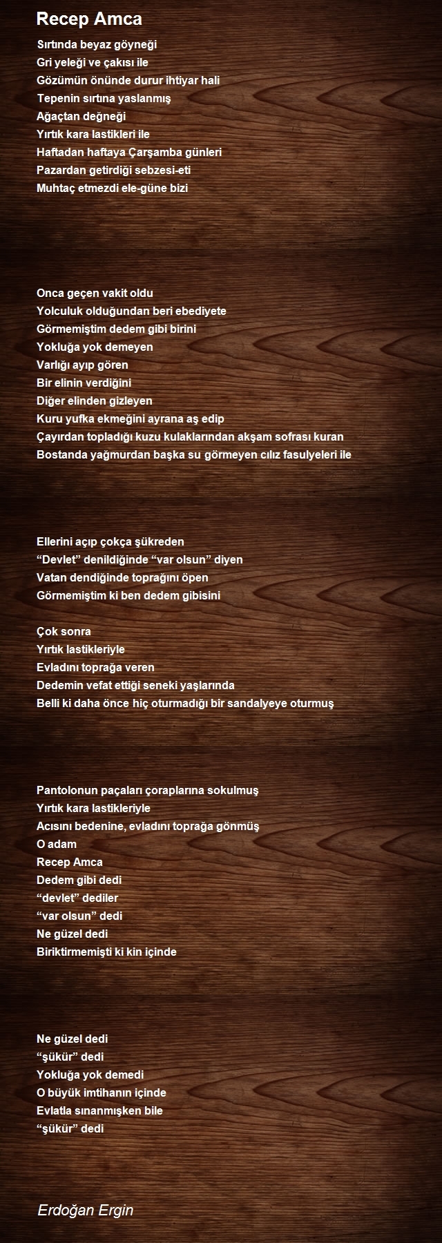 Erdoğan Ergin