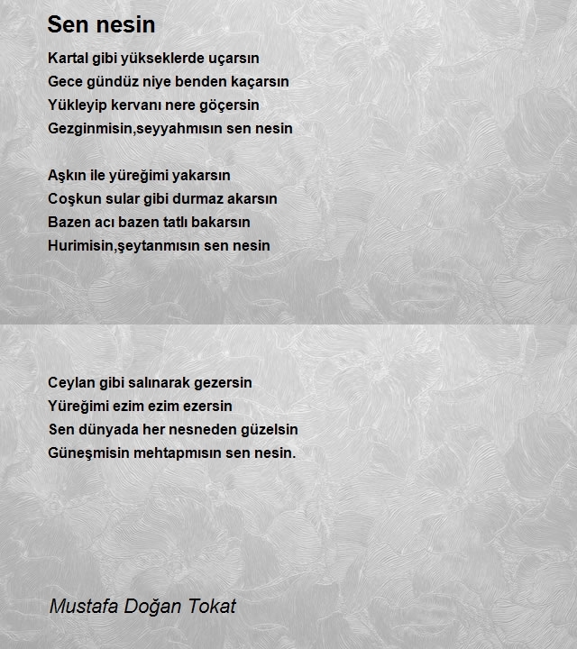 Mustafa Doğan Tokat