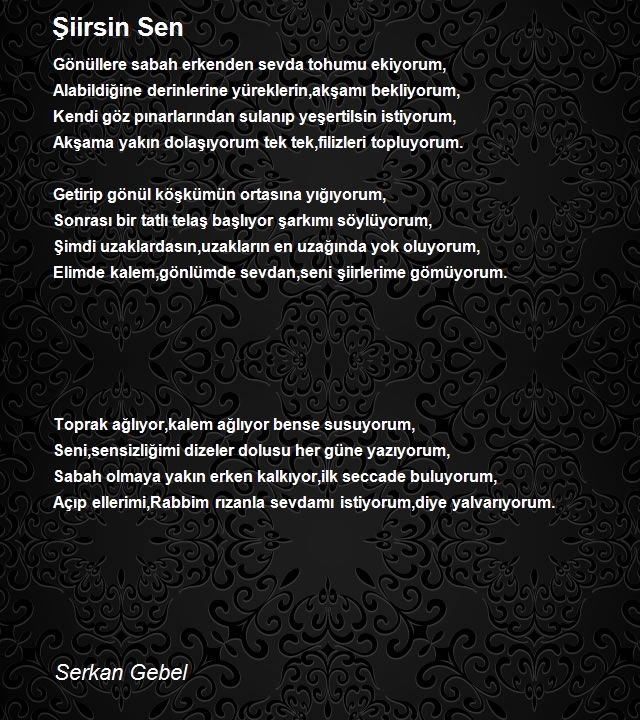 Serkan Gebel