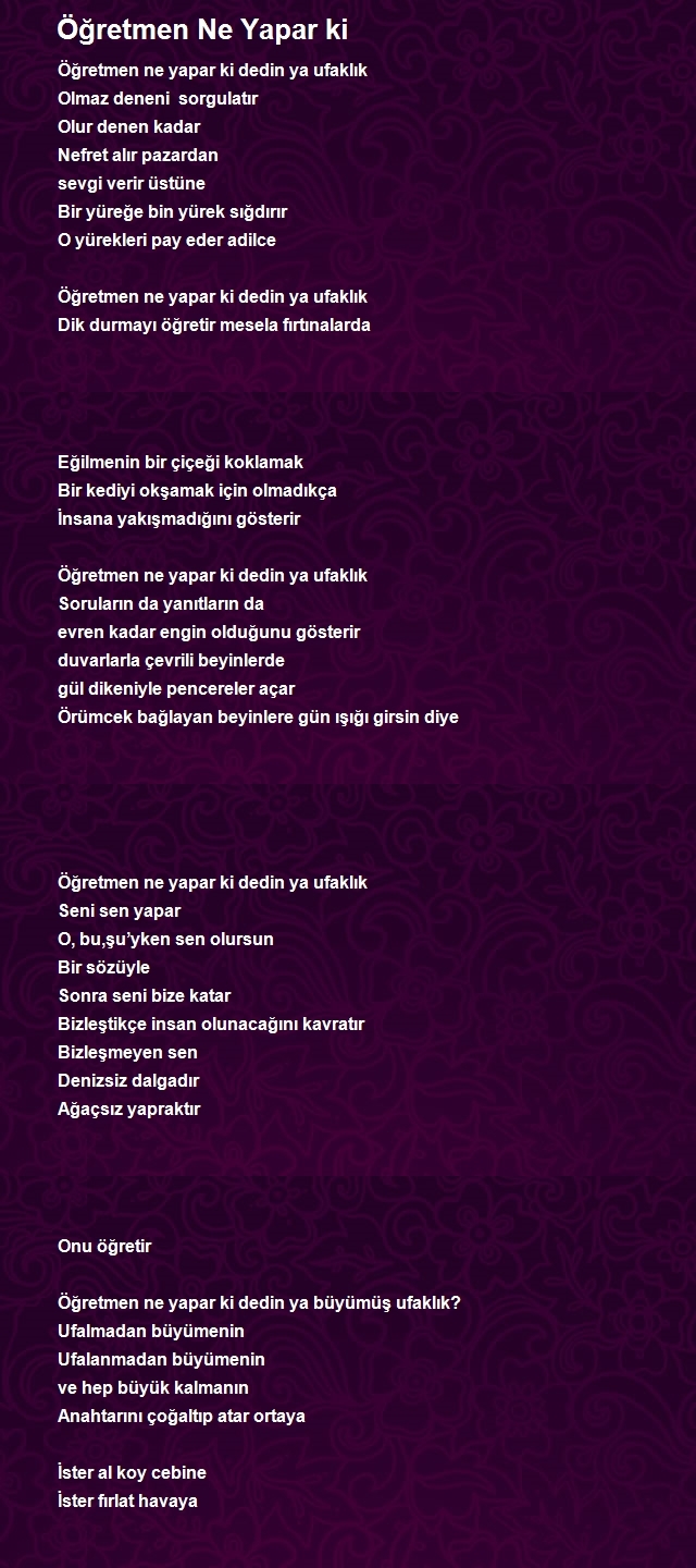 Mehmet Alperdem