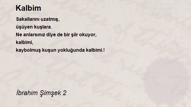 İbrahim Şimşek 2