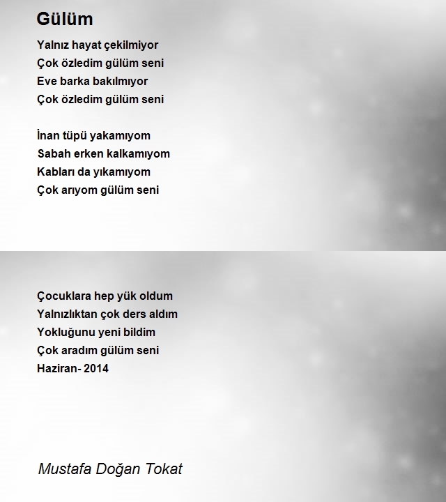 Mustafa Doğan Tokat