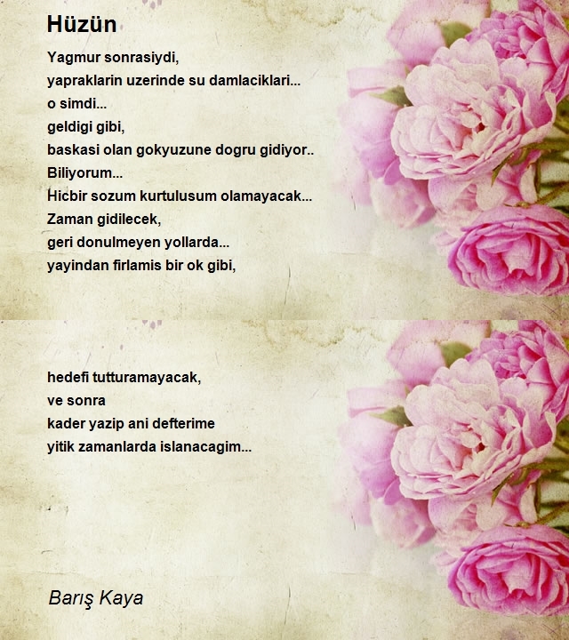 Barış Kaya