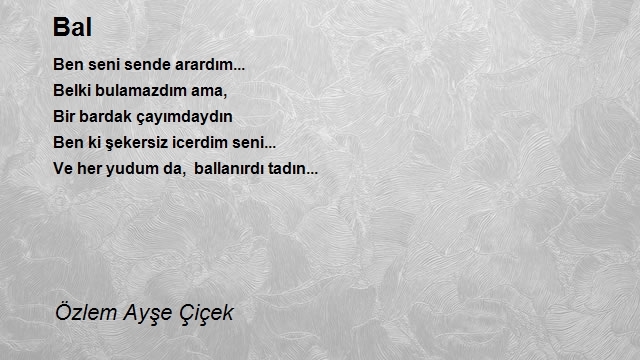 Özlem Ayşe Çiçek