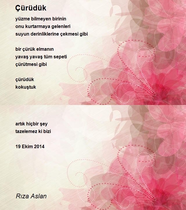 Rıza Aslan