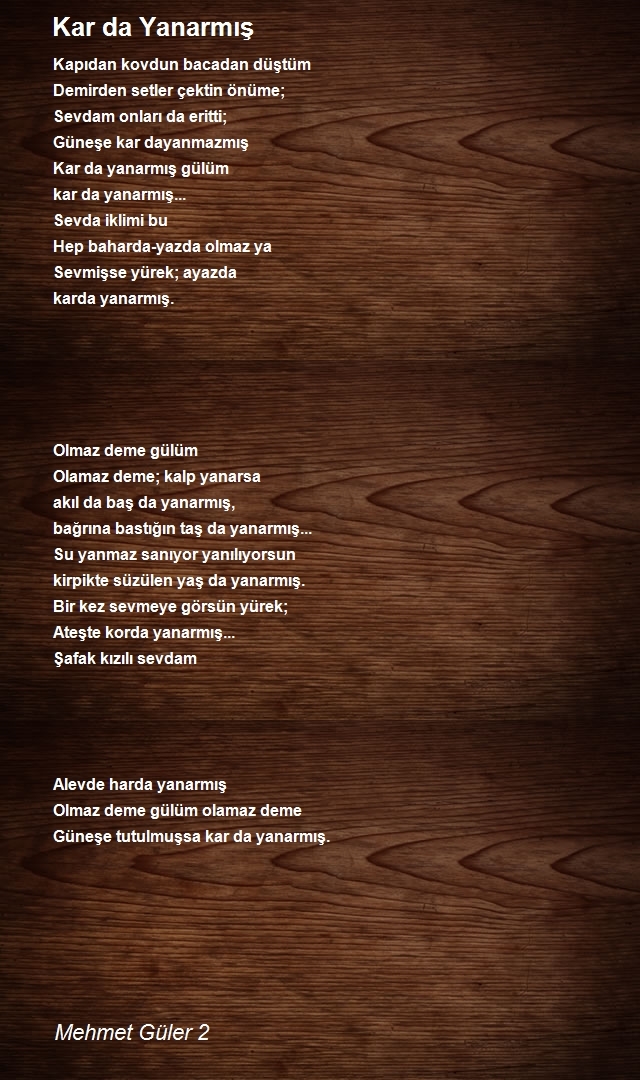 Mehmet Güler 2