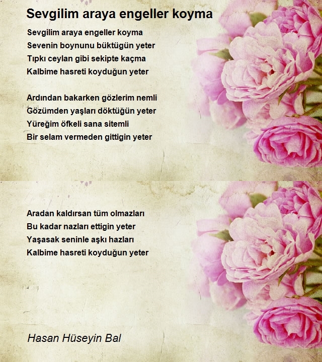 Hasan Hüseyin Bal
