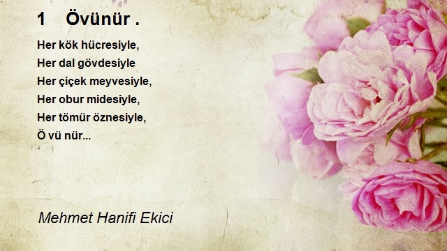 Mehmet Hanifi Ekici