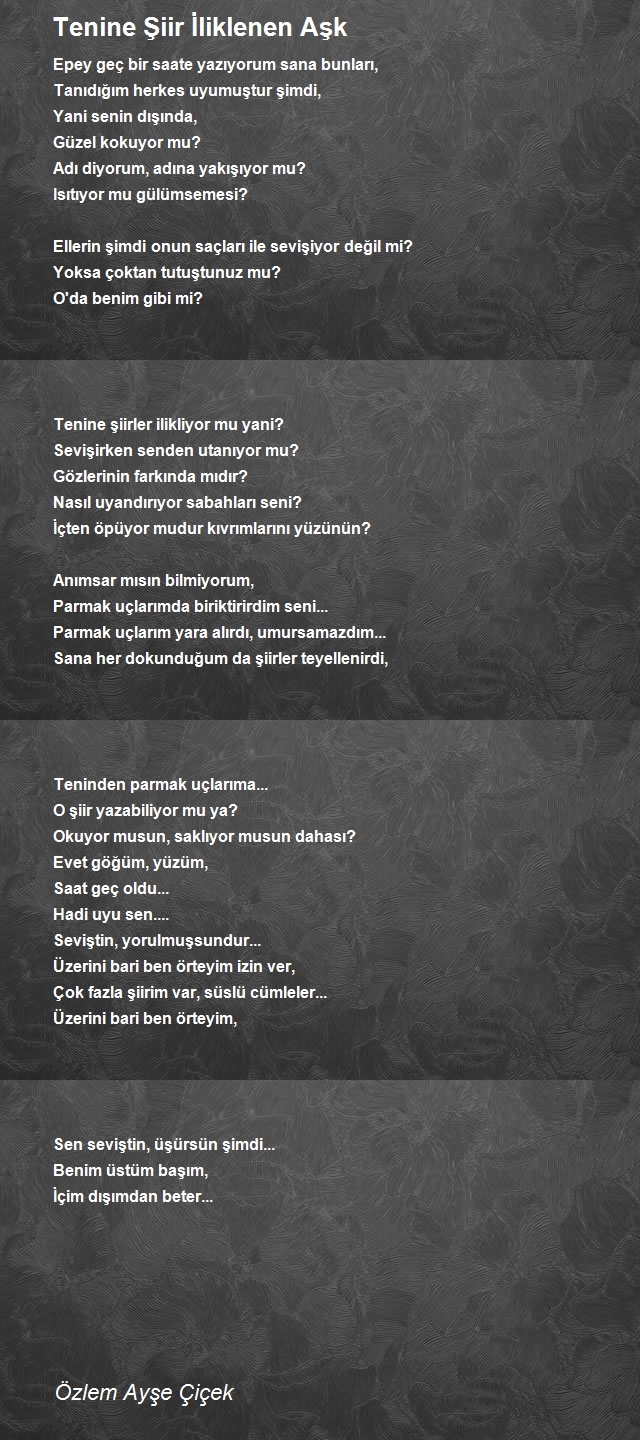 Özlem Ayşe Çiçek