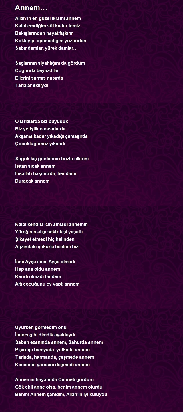 Tahsin Sağlam