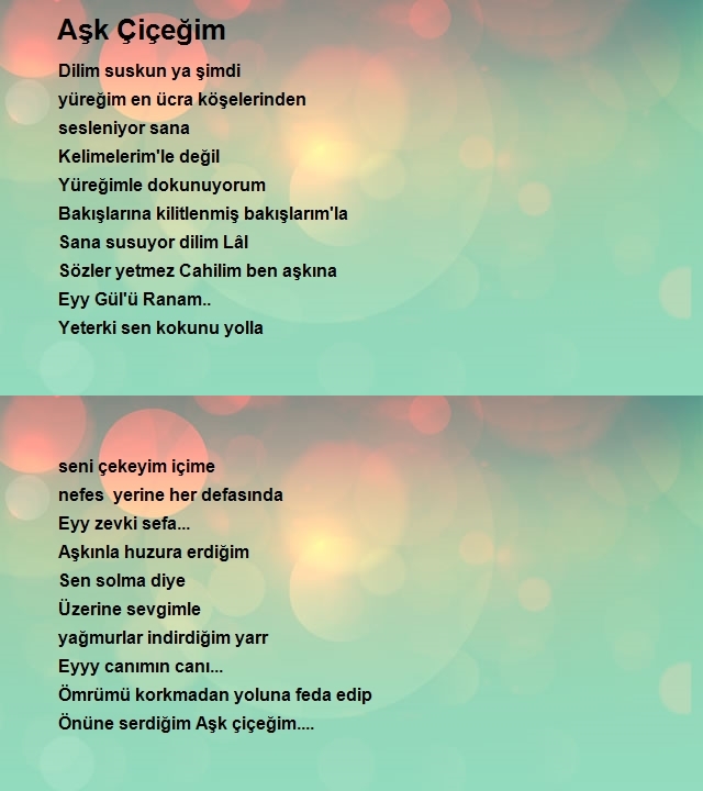 Gül Sargın