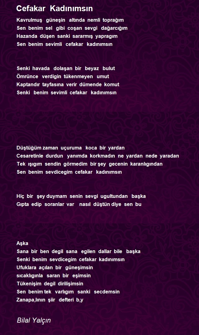Bilal Yalçın