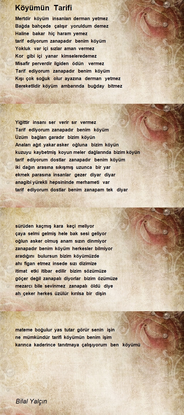 Bilal Yalçın