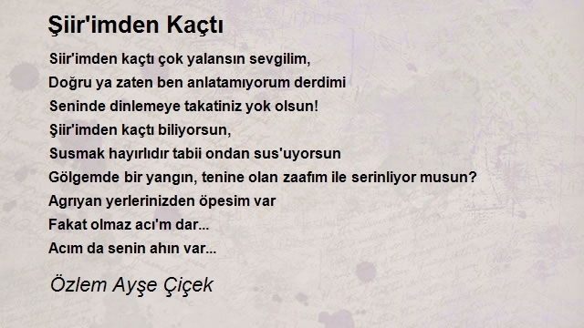 Özlem Ayşe Çiçek