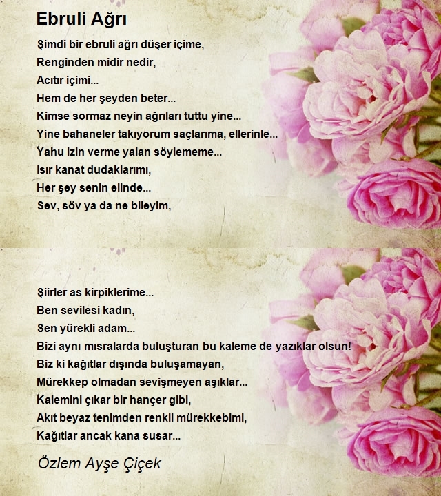 Özlem Ayşe Çiçek