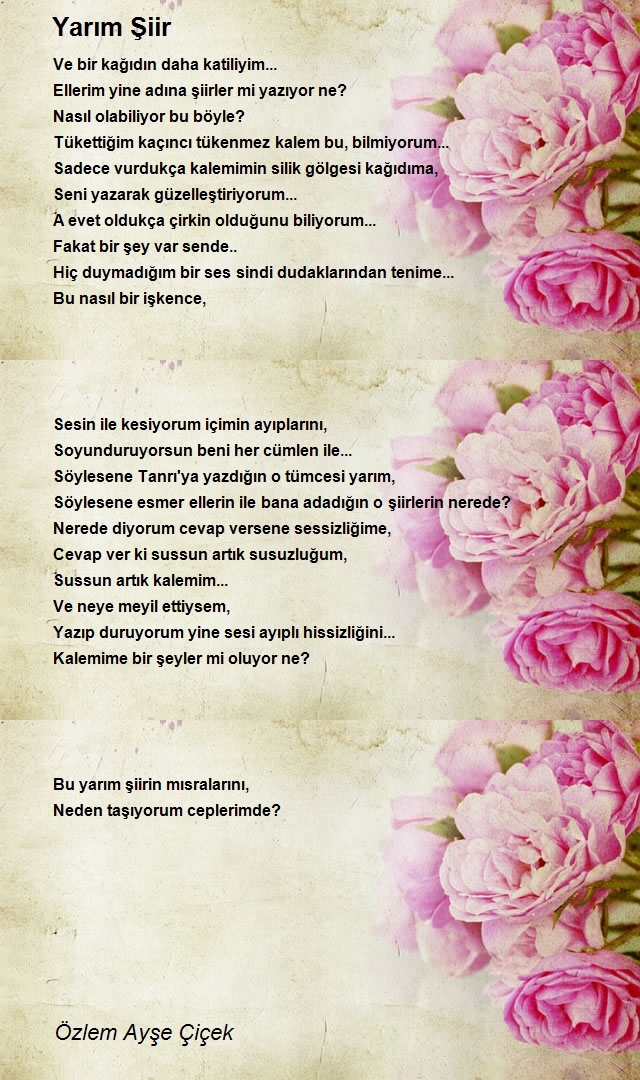 Özlem Ayşe Çiçek