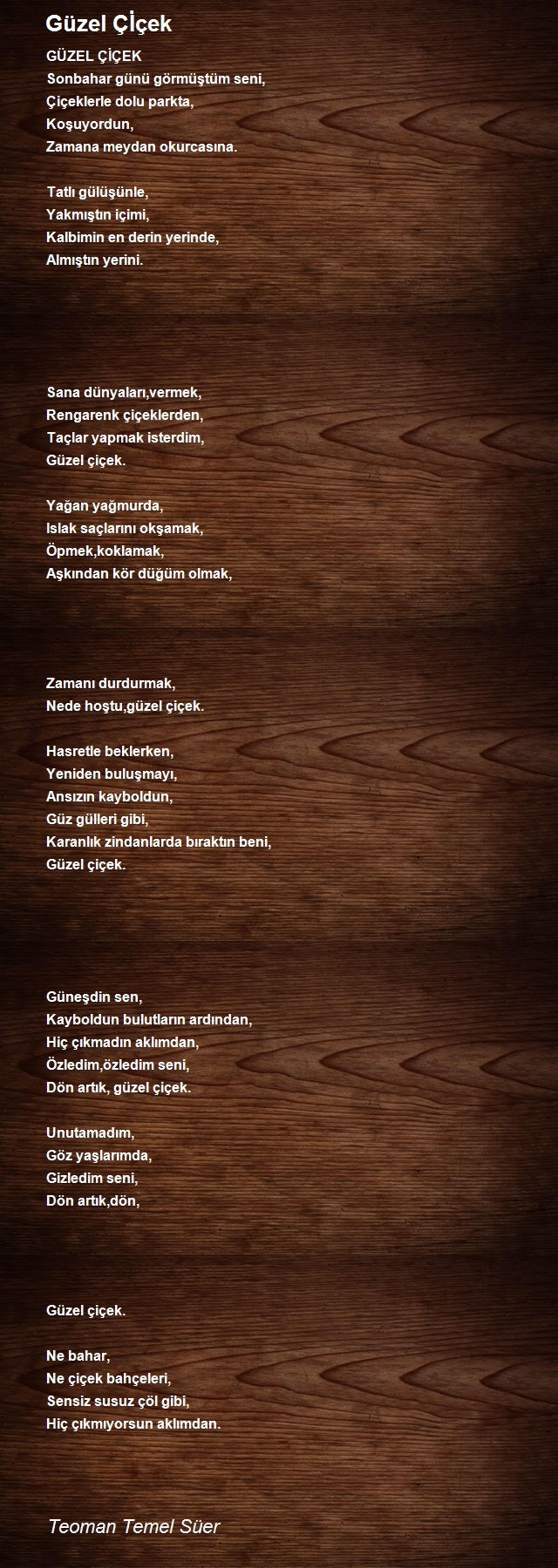 Teoman Temel Süer