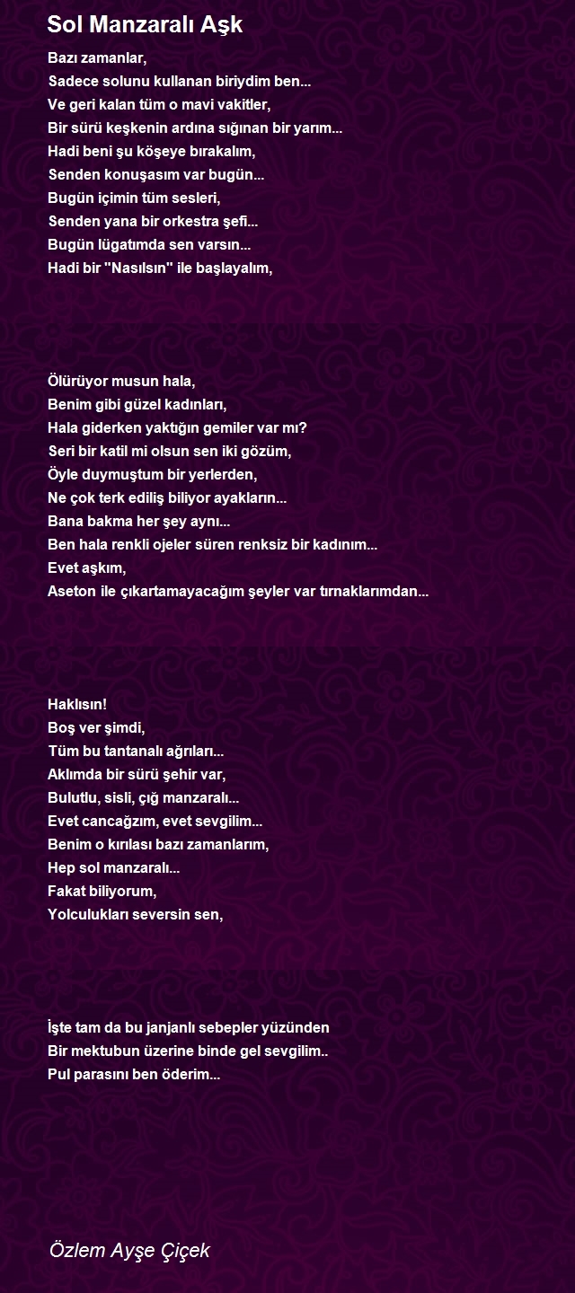 Özlem Ayşe Çiçek