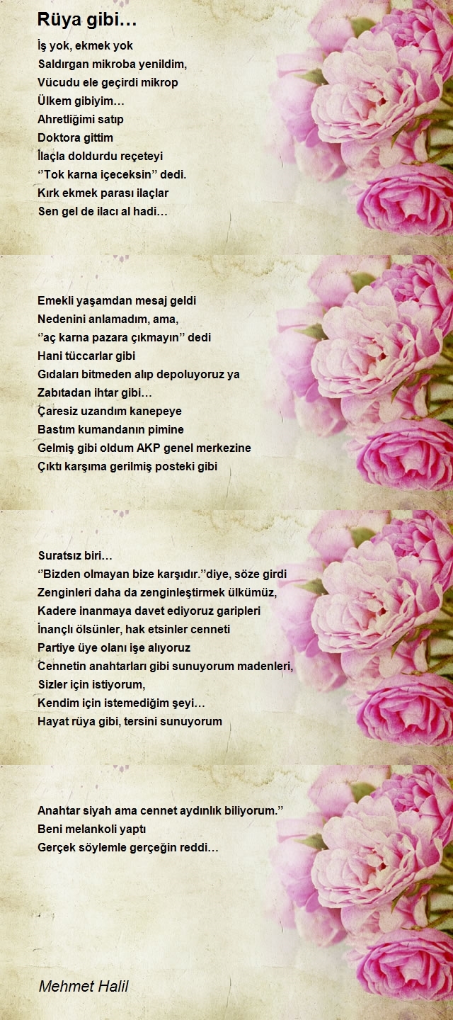 Mehmet Halil