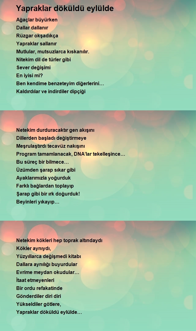 Mehmet Halil