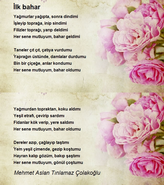 Mehmet Aslan Tınlamaz Çolakoğlu