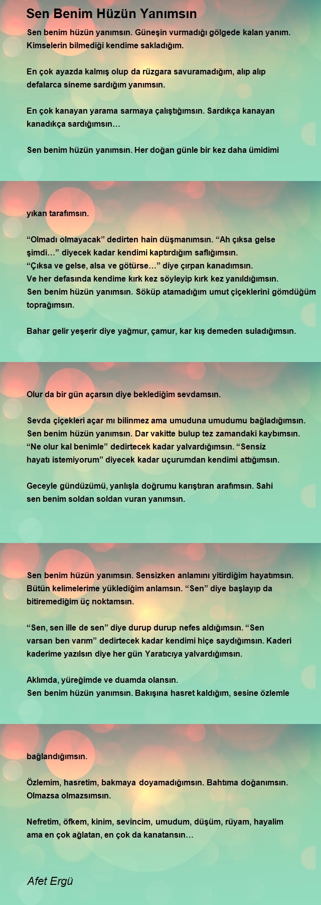 Afet Ergü
