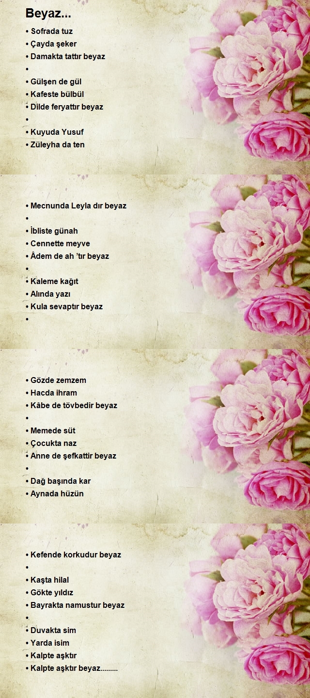 Elvan Meral