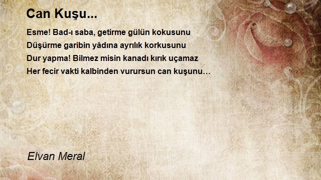 Elvan Meral