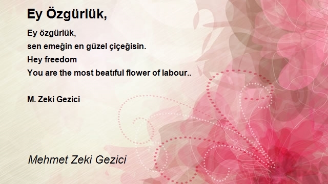 Mehmet Zeki Gezici