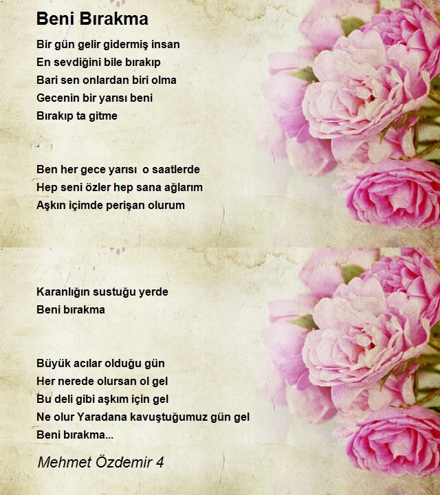Mehmet Özdemir 4