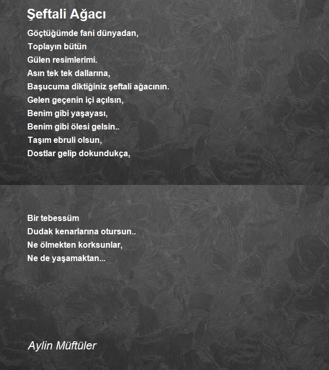 Aylin Müftüler