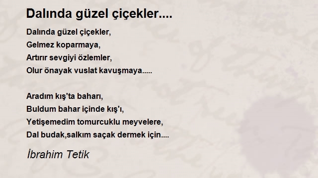 İbrahim Tetik