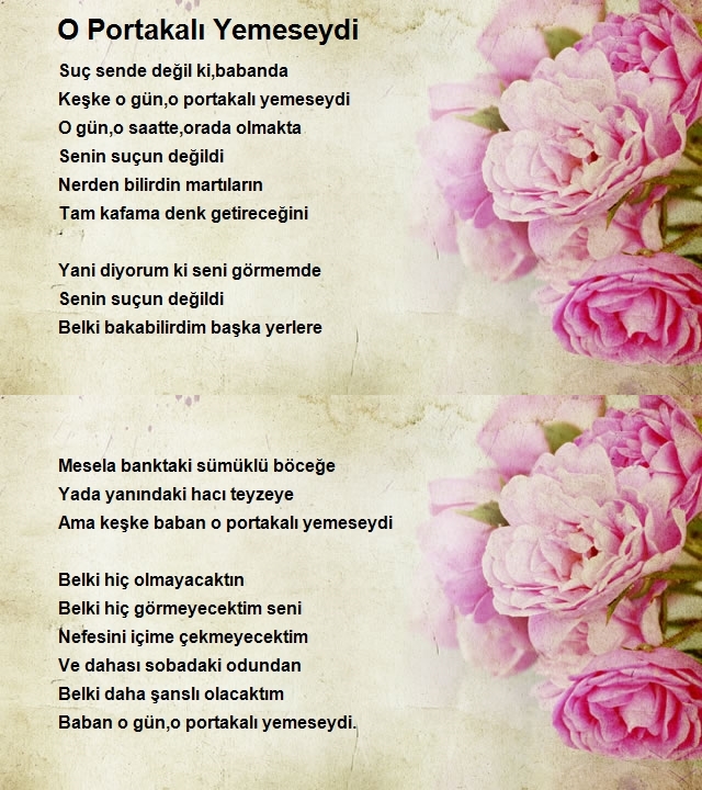 Metin Erden