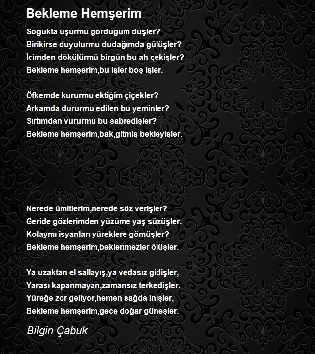 Bilgin Çabuk